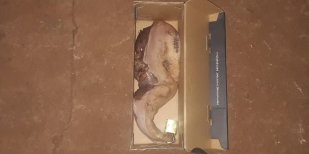 Paraguay: macabro mensaje mafioso