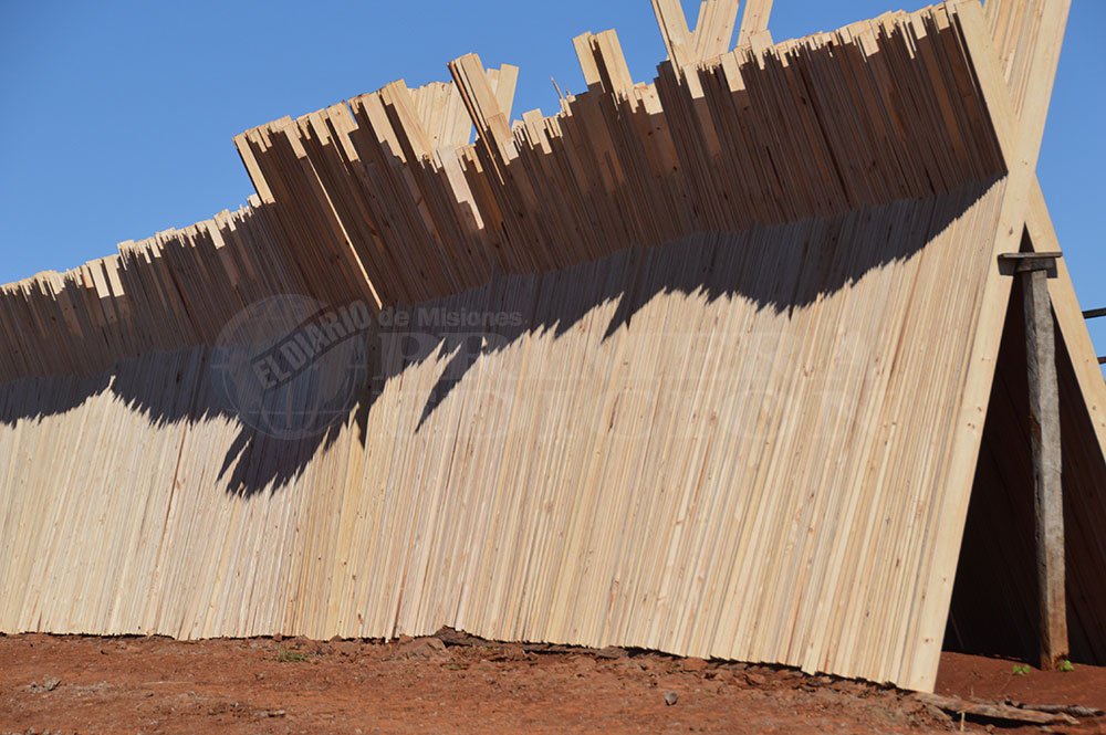 Vasallo: “PyME forestales sufren la competividad y no tienen créditos”