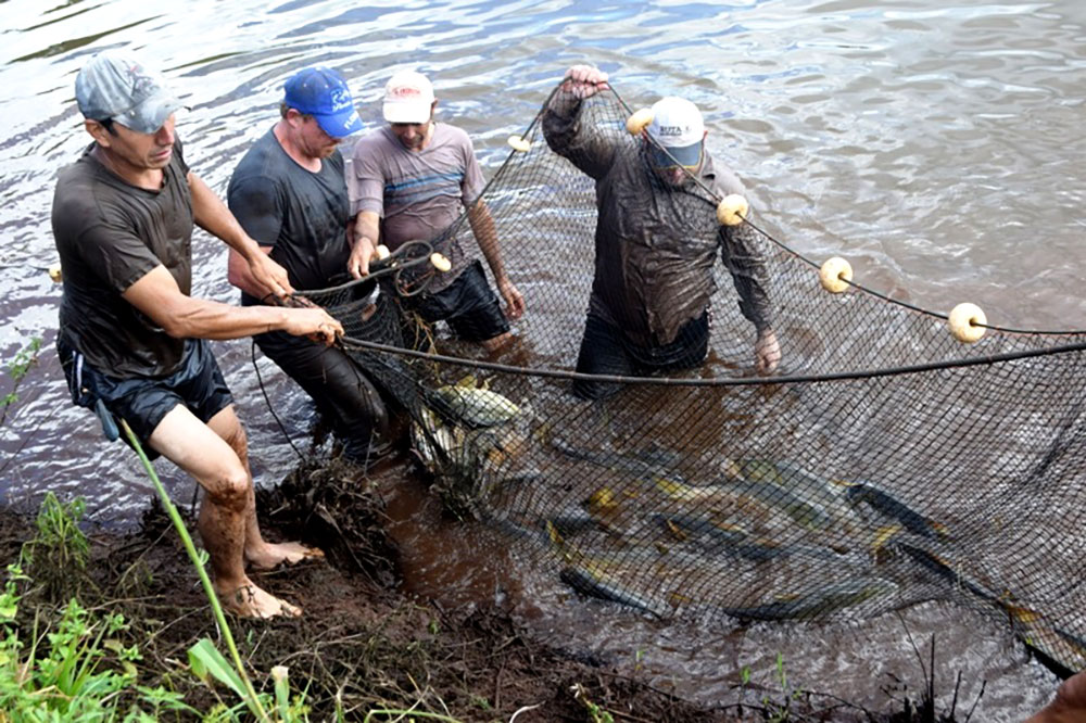 Campo Viera prepara el inicio de la temporada piscícola