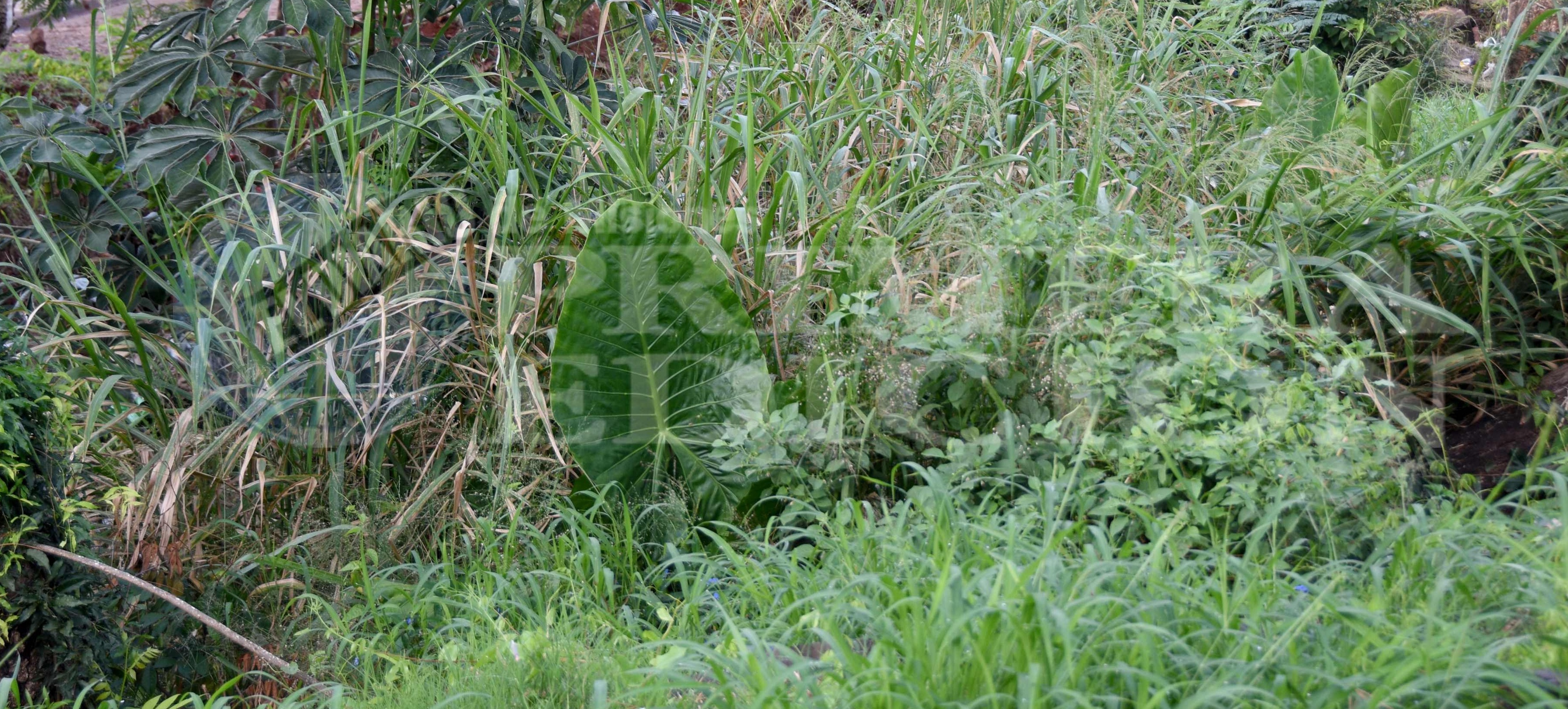 Empresas constructoras encabezan el listado de los terrenos en infracción