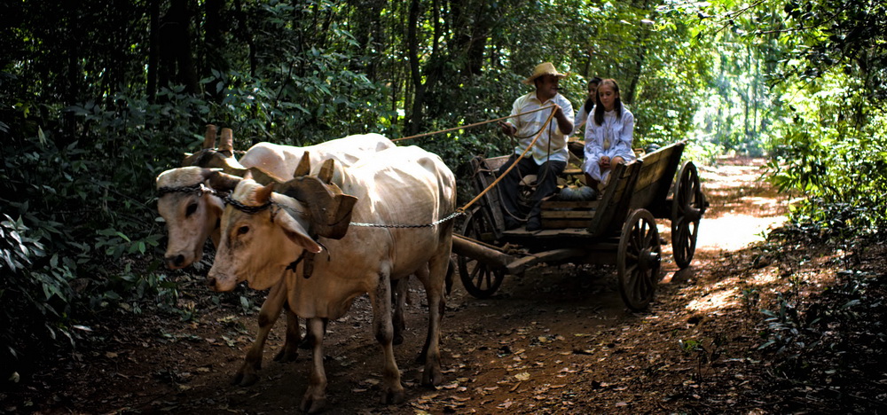 Avant premiere de “Cara sucia” en el Imax del Conocimiento