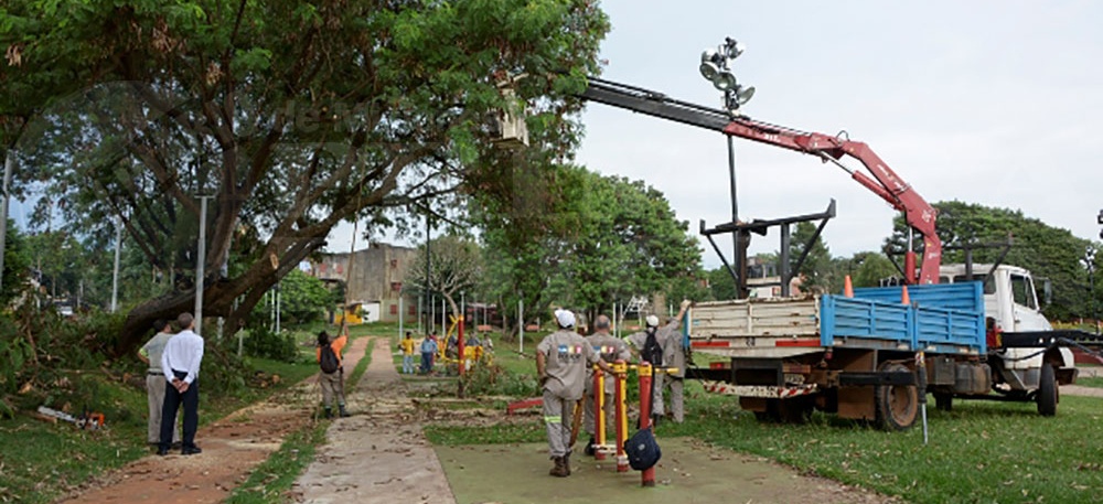 PROGRAMADO. En Espacios Verdes iniciarán las tareas de podas que se extenderán hasta el 15 de agosto.
