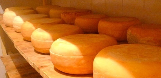 Apuestan al valor agregado de los quesos hechos en Misiones