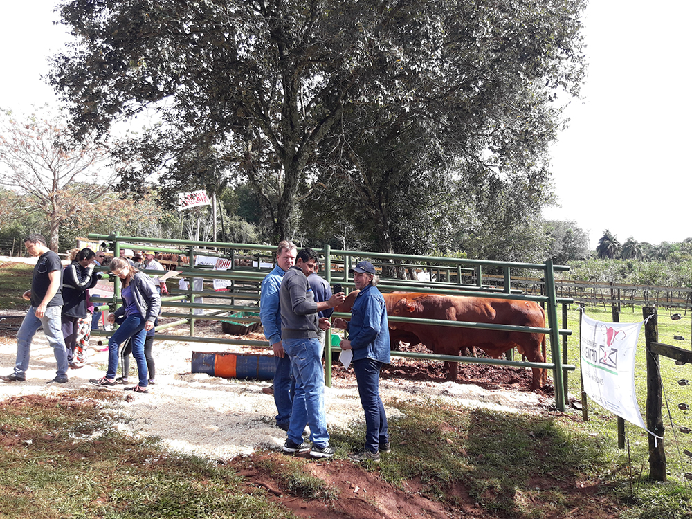 En su última jornada, la sexta Expo Verá pudo “brillar” en la Capital del Monte