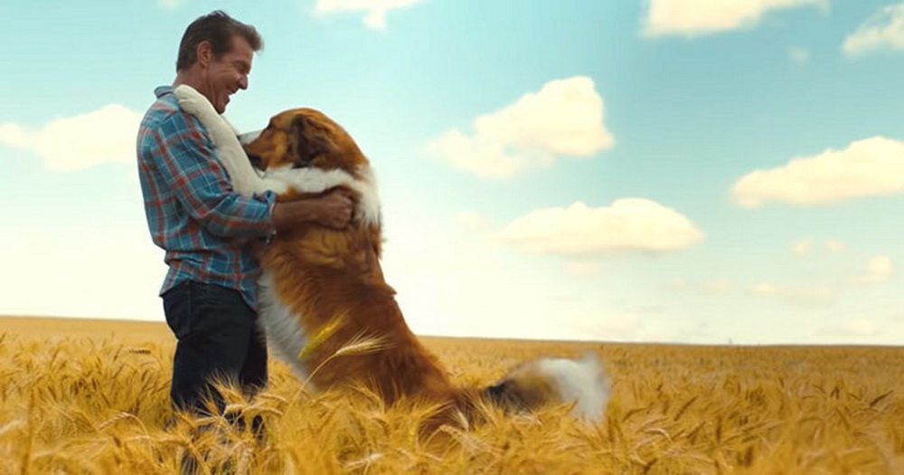 Llega al Sunstar, La razón de estar contigo 2