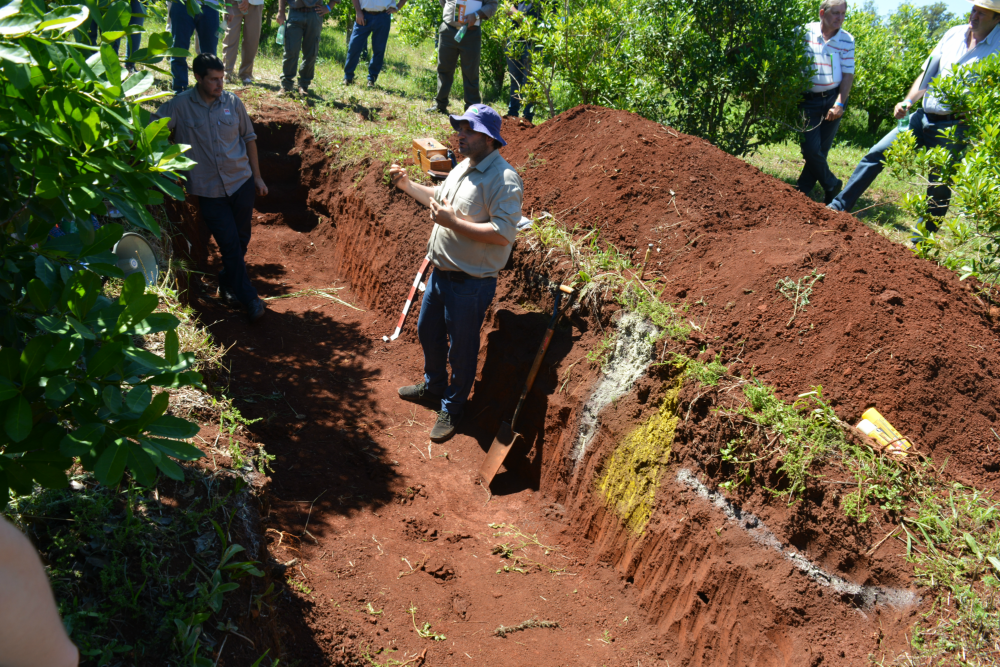 Con control adecuado, las malezas ayudan a la conservación del suelo