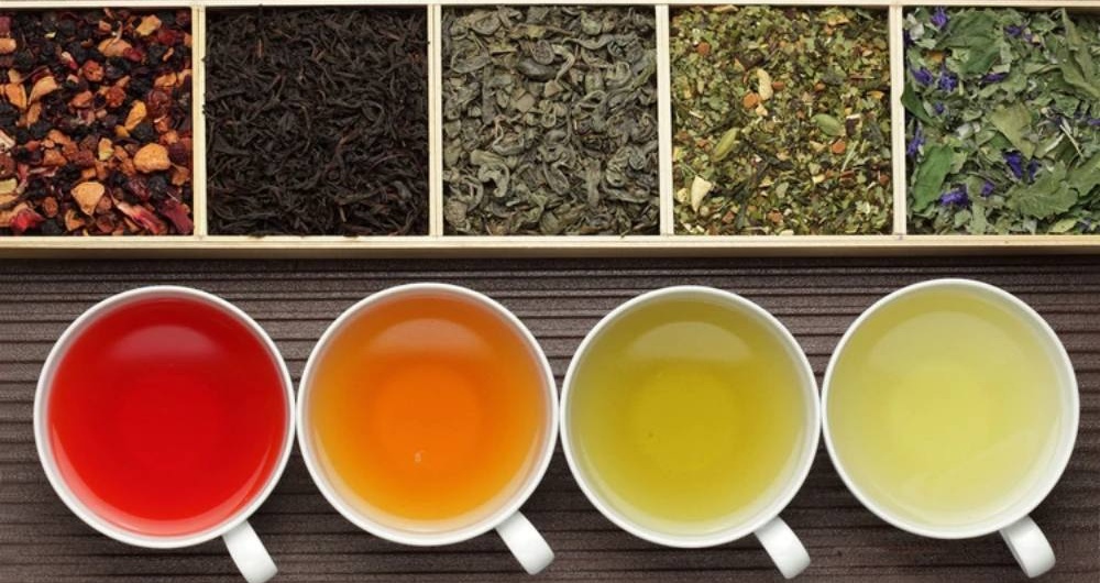 Medicina natural: plantas que mejoran la salud y la longevidad