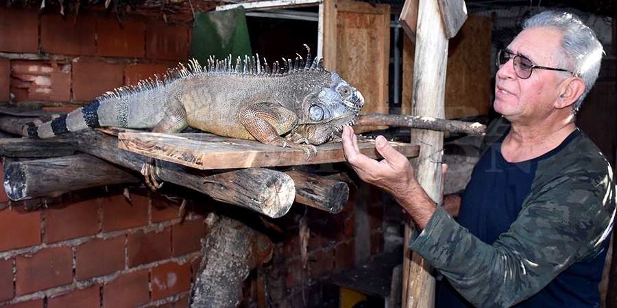 Museo, clínica y hogar para la fauna misionera, a pasos del centro de Posadas