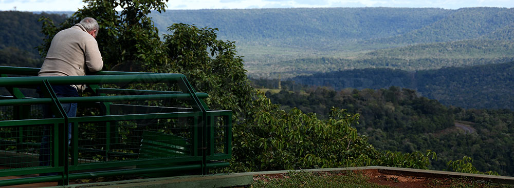 Misiones adhirió a la Declaración de Nueva York sobre los bosques
