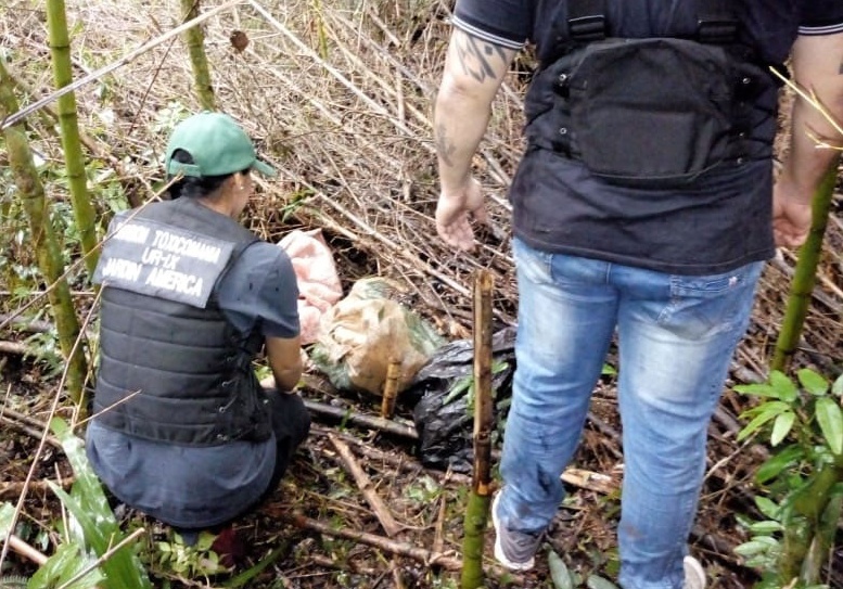 Incautan 25 kilos de marihuana en operativo rural
