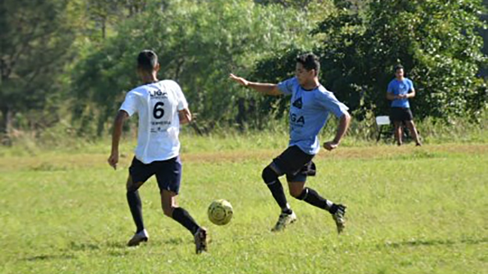 Dejaron los libros, por un rato