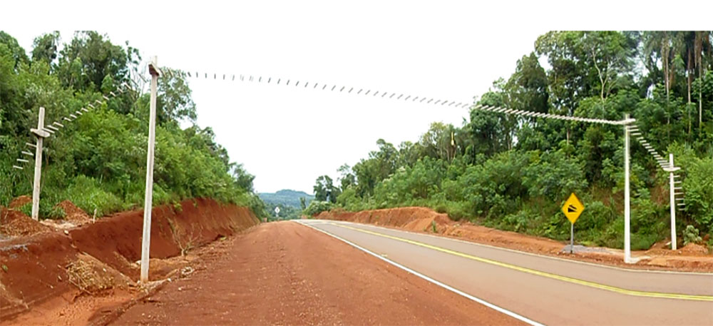 Los pasafaunas: cruces seguros para los animales en su camino hacia el agua