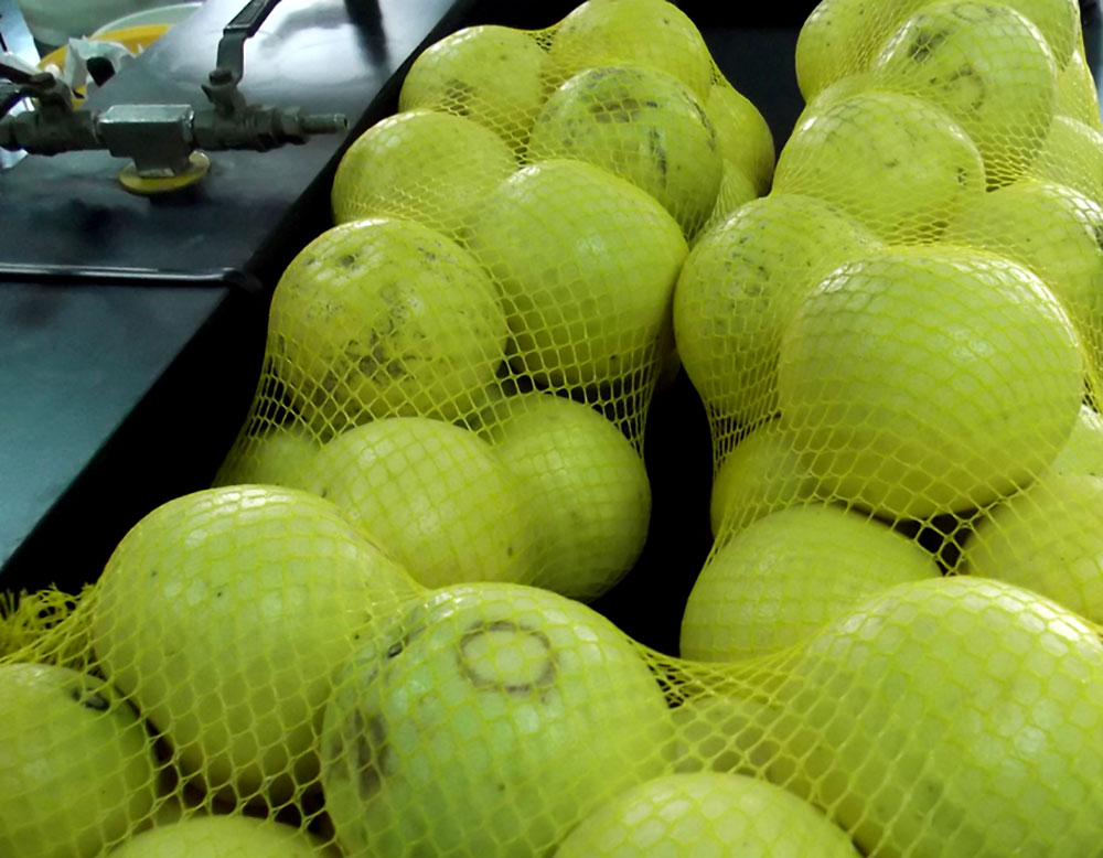Tratamiento térmico para mantener las propiedades del jugo de pomelo