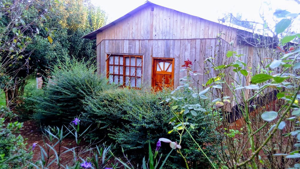 Puerto Rico: confirmaron que tarefera se quitó la vida