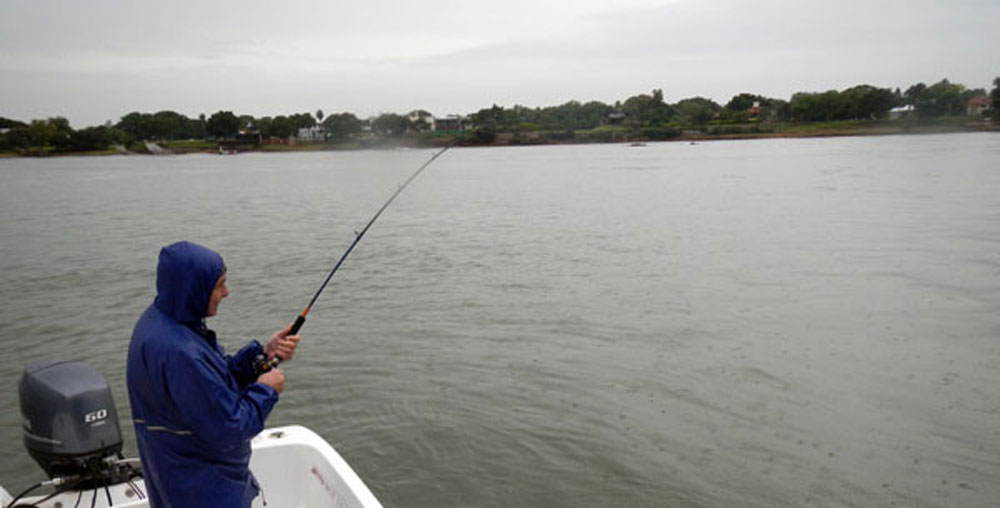 En Puerto Rico salen a pescar boga y variada