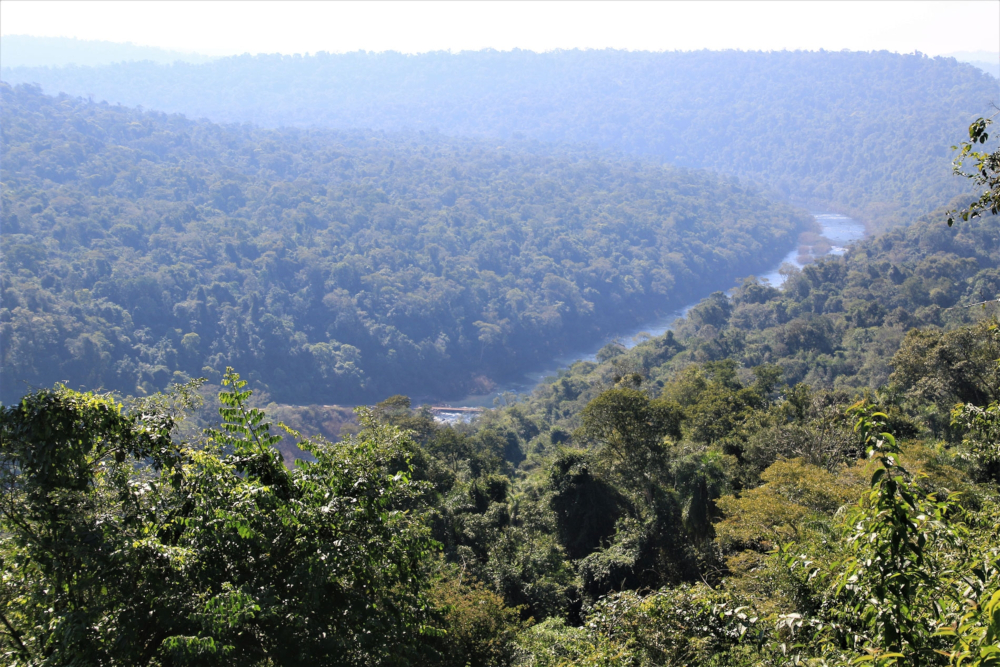 La Selva Misionera es Maravilla Natural de Argentina