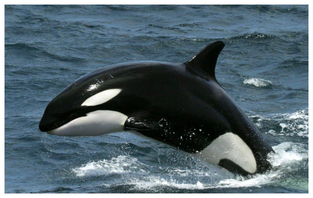 Turismo de reuniones