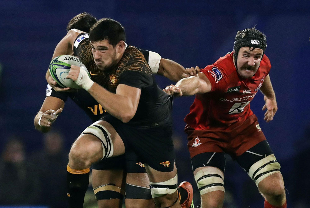 Fiesta en el hormiguero