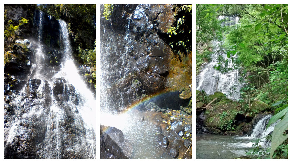 Aerolíneas Argentinas ofrecerá  más de  un millón de asientos durante el invierno