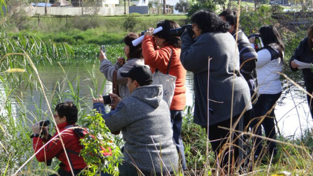 Paseo y avistaje de aves