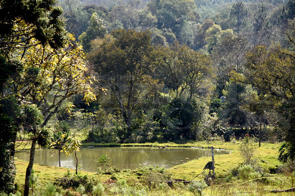 IEA 1: un proyecto didáctico productivo que se reinventó