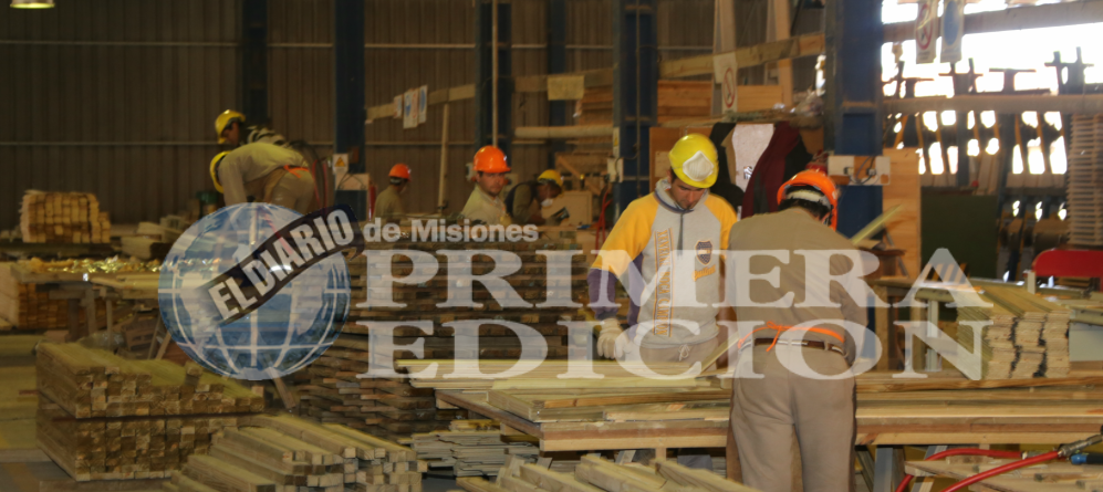 Sin repunte del consumo el sector maderero seguirá decayendo