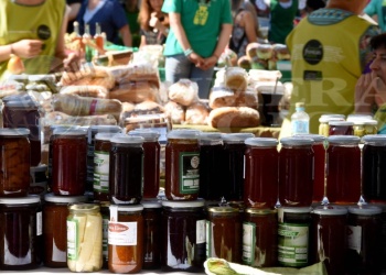 En la Semana de la Dulzura, regresan  las “Plazas Dulces” a dos localidades