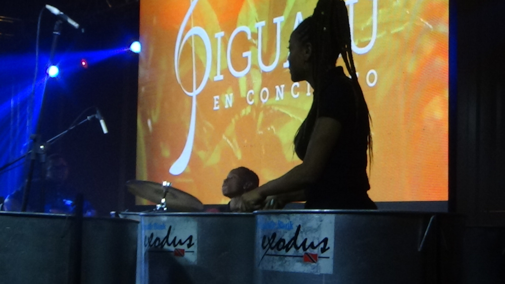 Jóvenes músicos del mundo se adueñan del “Iguazú en Concierto”