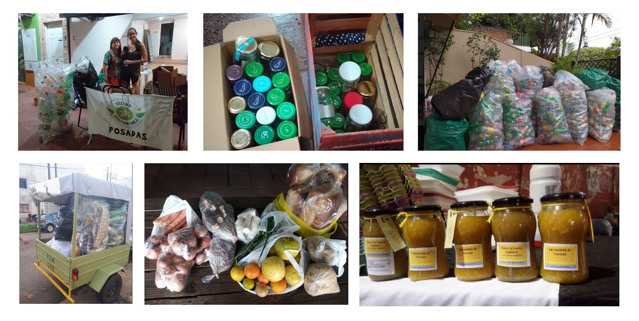 Declaran de interés el Proyecto Vecino Sustentable Posadas