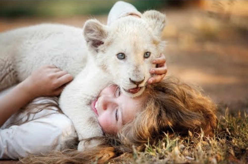 “Mi mascota es un león”
