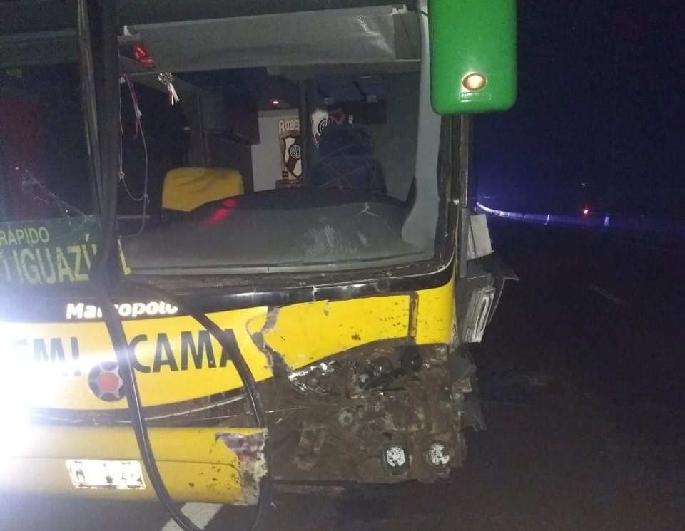 Una vaca ocasionó siniestro vial en Santa Ana