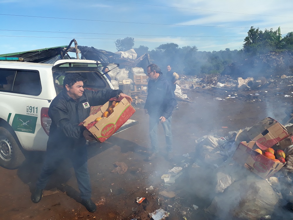 SENASA decomisó frutas y pescados