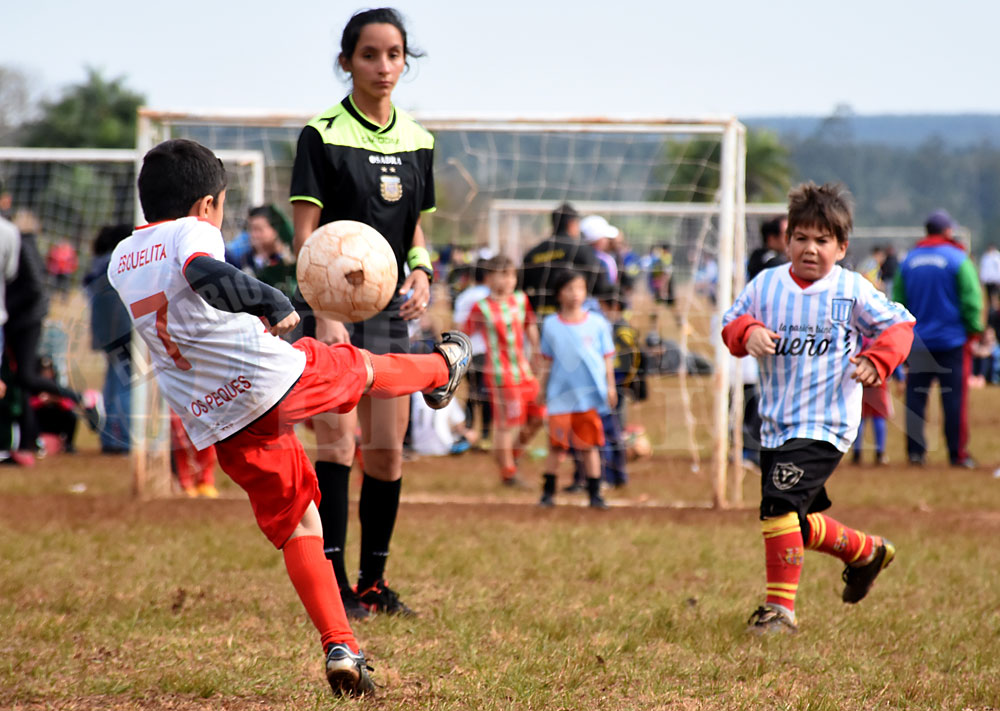 Vóley: festejaron en Oberá