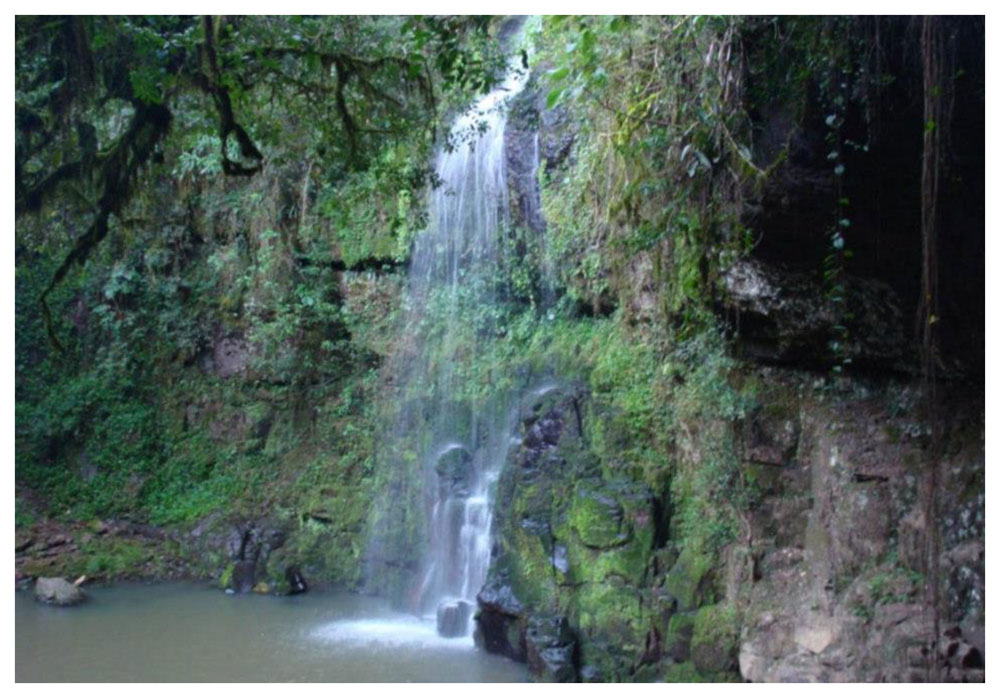 El viernes 2 llega el primer vuelo desde Madrid