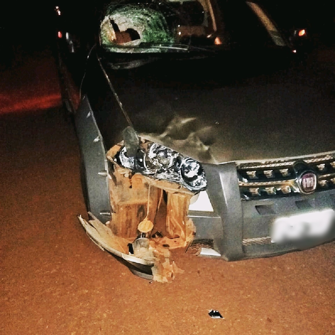 Sexagenario muere tras ser embestido en la ruta 215