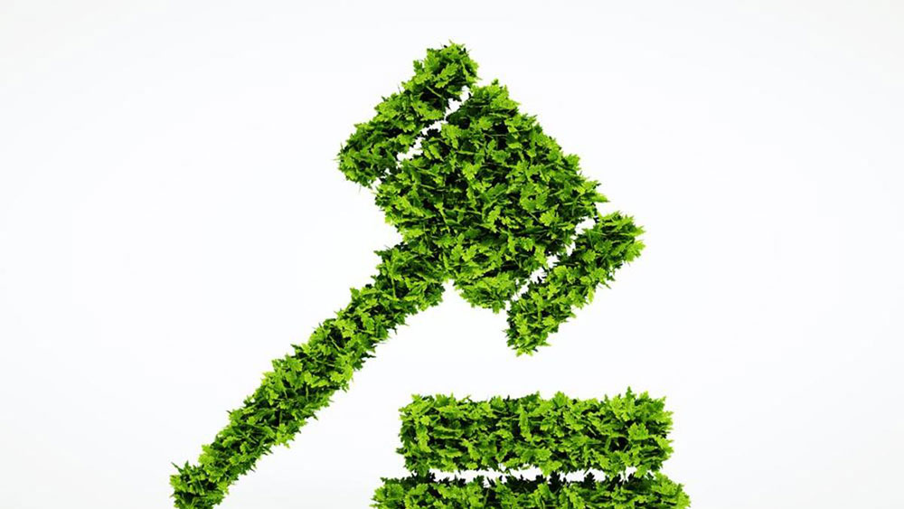 Buscan avances en proyecto de ley para tipificar delitos ambientales