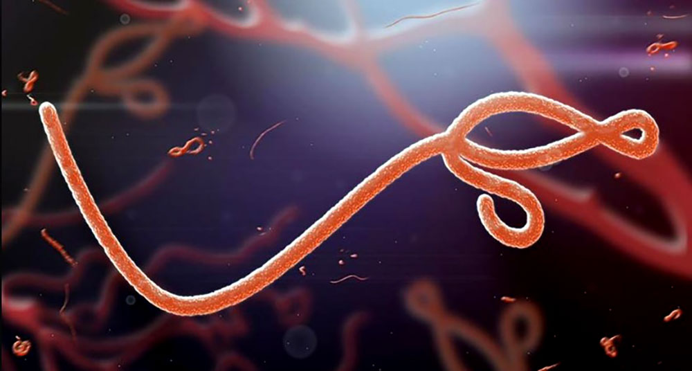 La OMS declaró el ébola “emergencia” sanitaria mundial