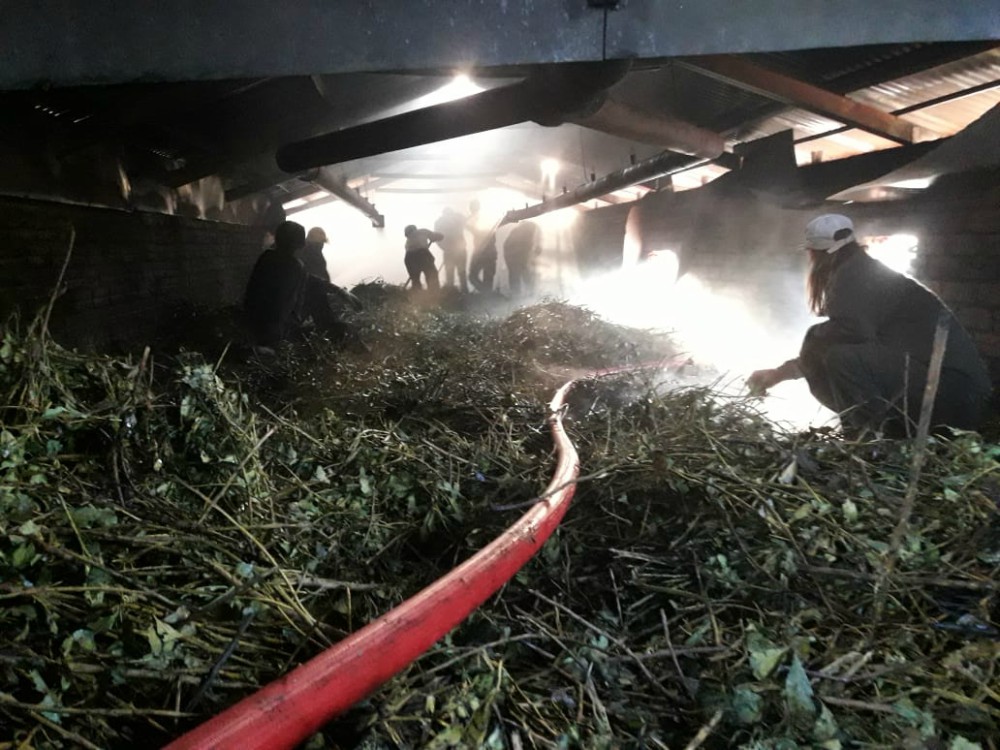 Se registraron incendios en cooperativas yerbateras de Andresito y San Pedro