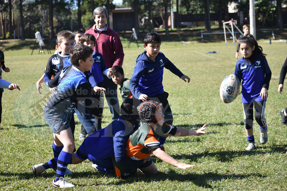 El rugby infantil es una experiencia enriquecedora