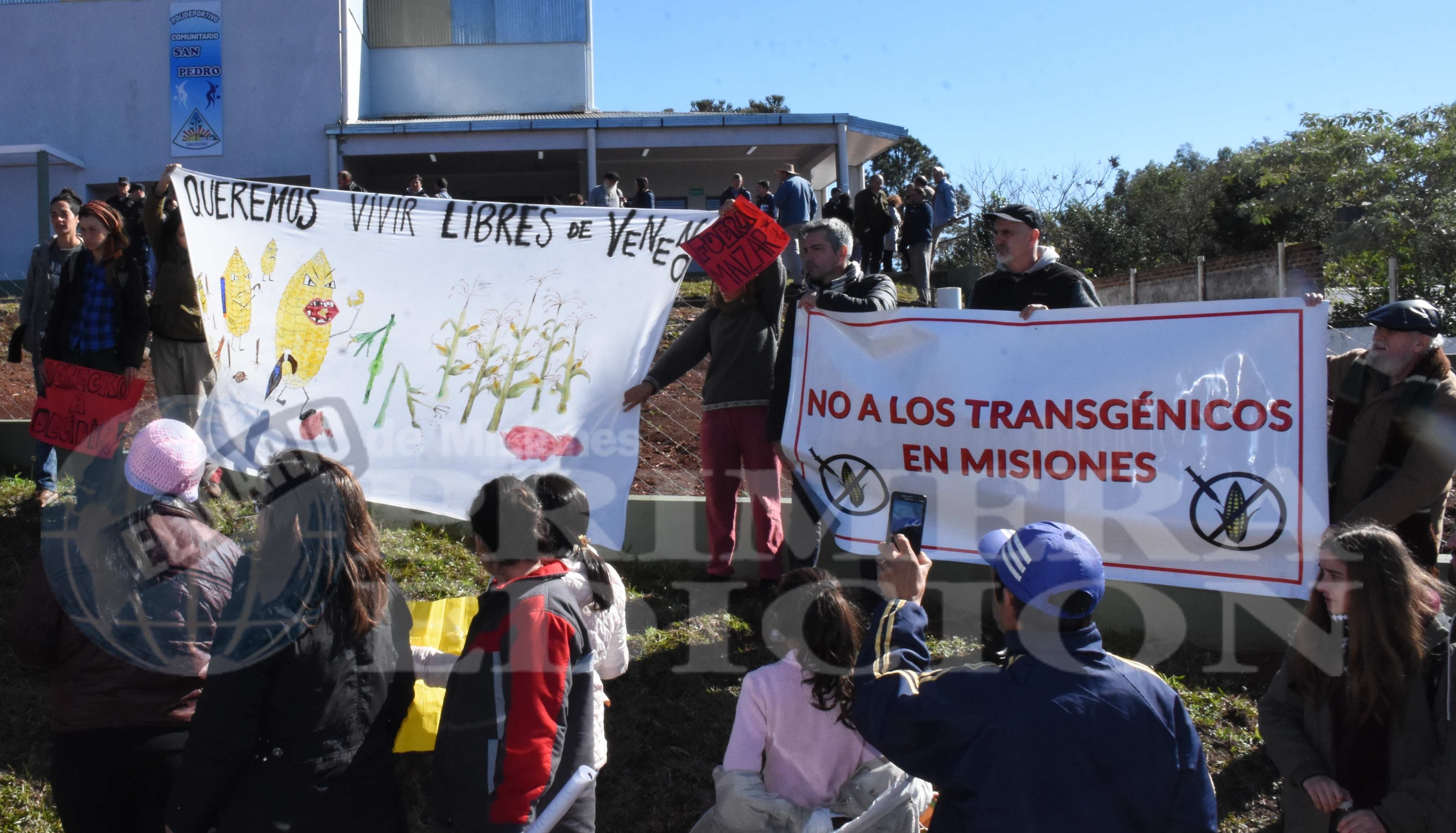 Inició el debate por el maíz transgénico en Misiones