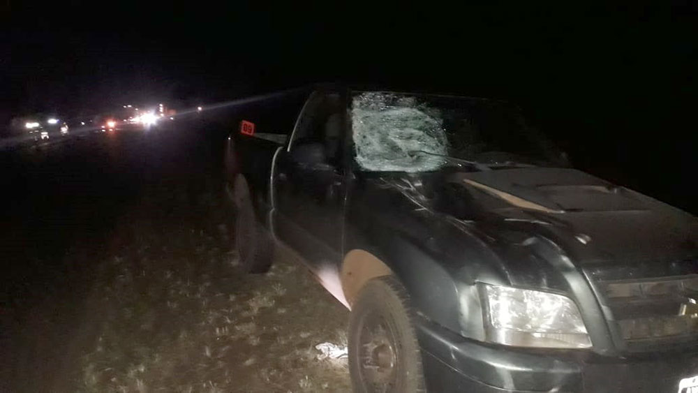 El caballo ileso, el jinete al Madariaga