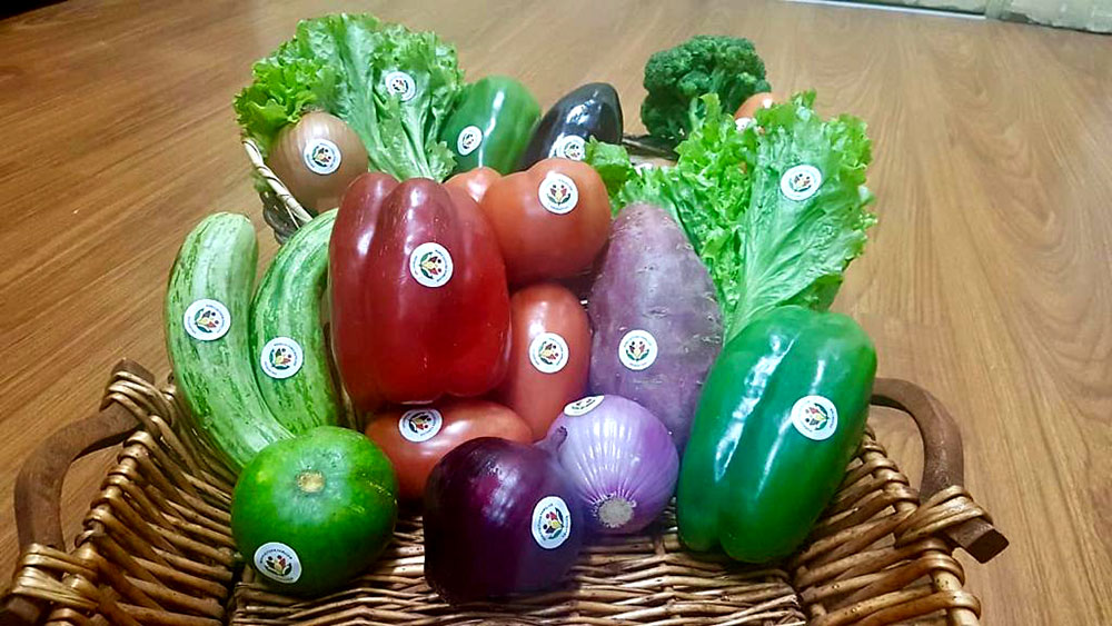 Otorgaron el primer sello “Producido por la Agricultura Familiar”