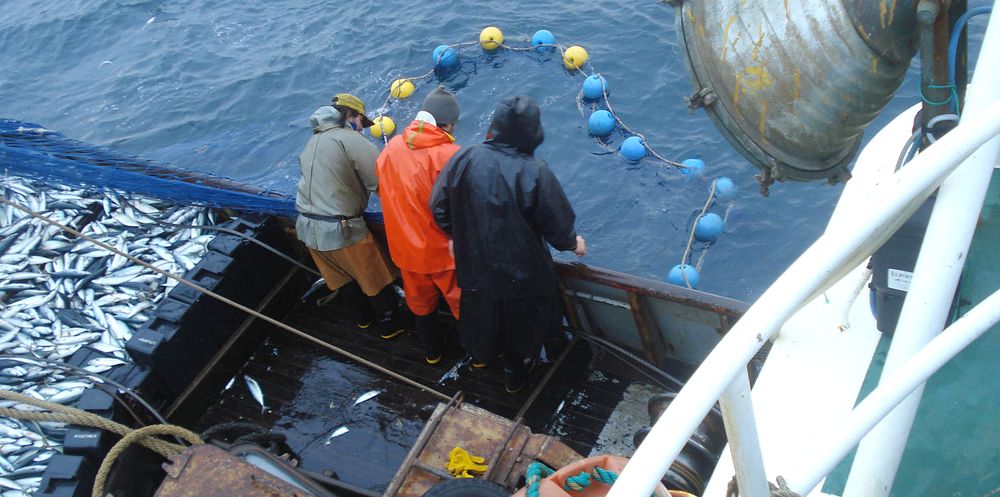 El SOMU acordó una suba salarial del 43% en la paritaria pesquera
