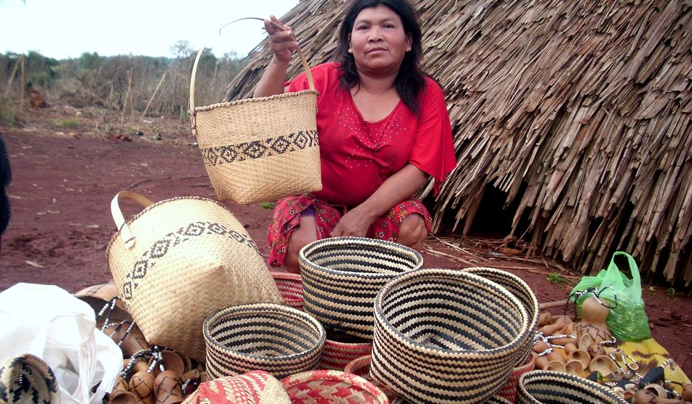 ONU: expertos piden una década de protección de idiomas indígenas