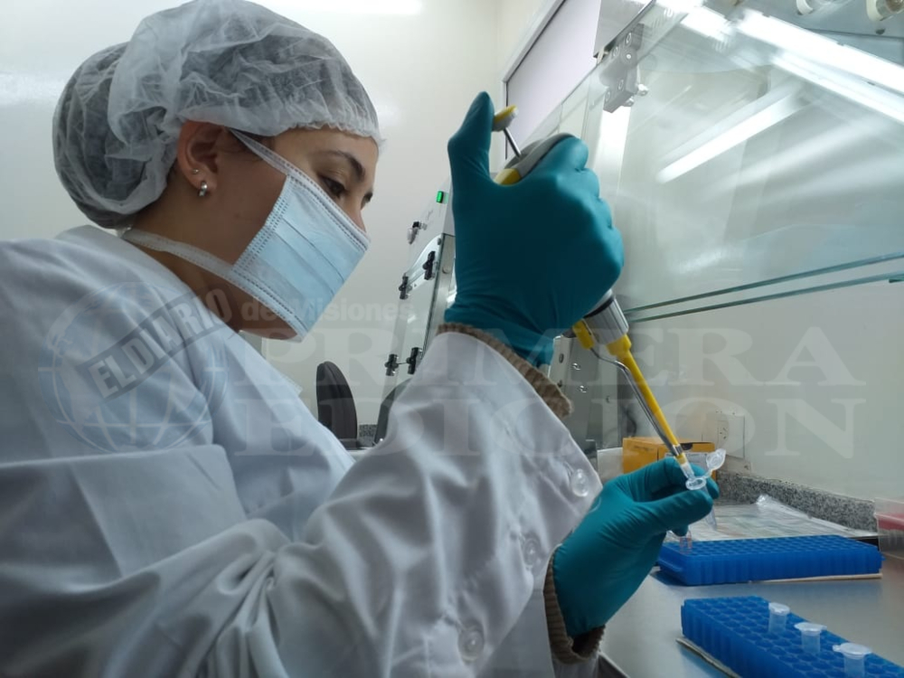 Registro provincial para monitorear enfermedades poco frecuentes