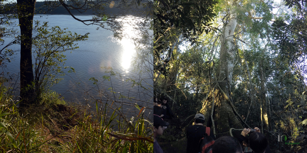 Ambientalistas promueven la puesta en valor de Monte Seguin