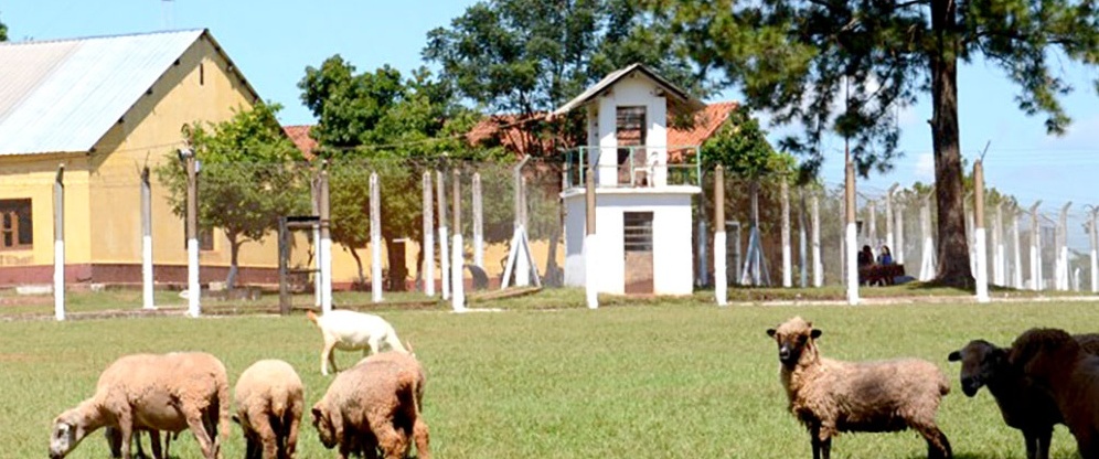 COLONIA PENAL. En la prisión federal de Candelaria se denunciaron los apremios.
