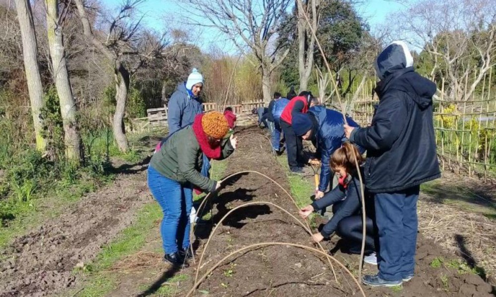 Microtúneles de mimbre: una alternativa económica