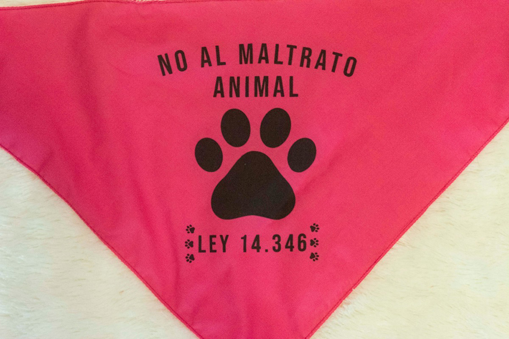 Imputaron a un hombre por “maltrato animal” tras ahorcar a una perra