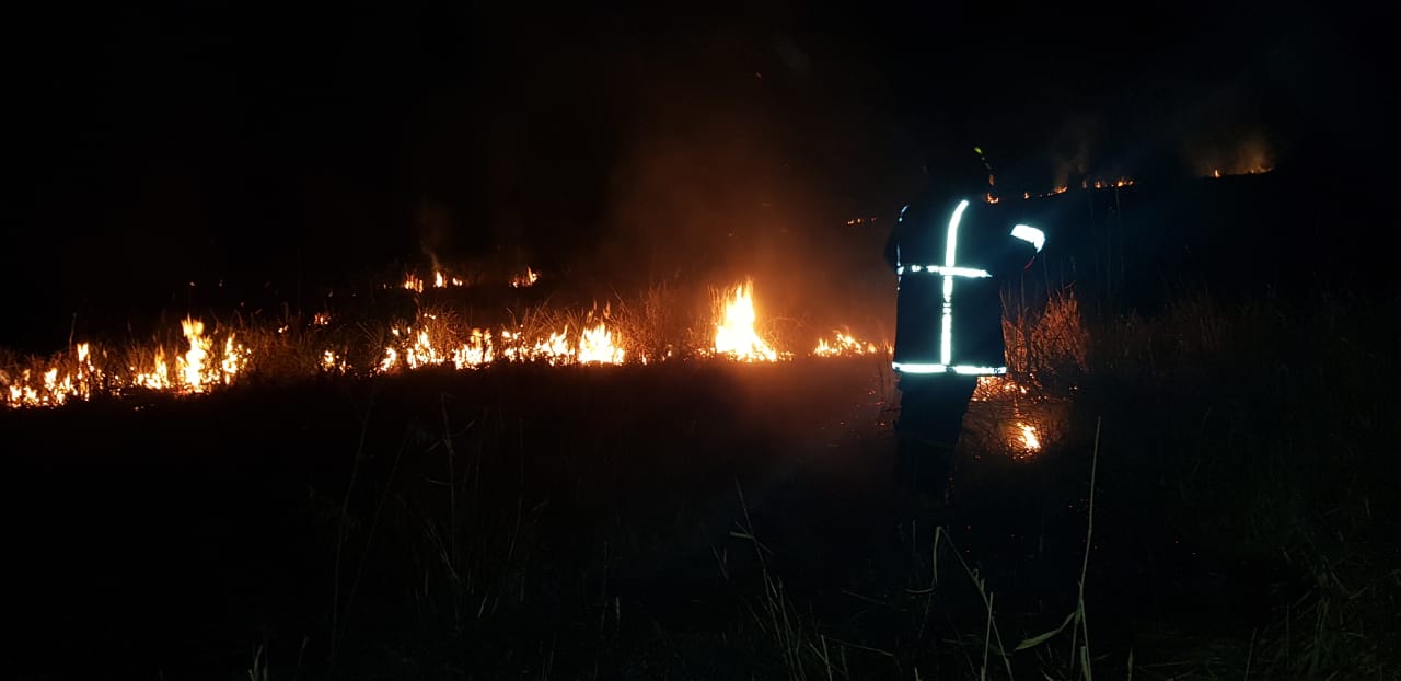 Incendio quemó casi cinco hectáreas de malezas en Santo Pipó